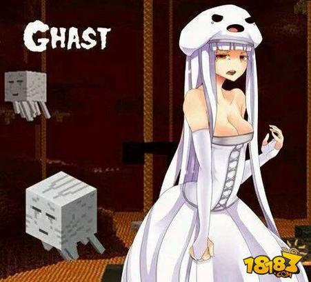 我的世界骷髅娘