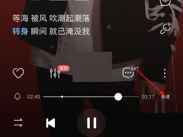 酷狗放歌闪光灯