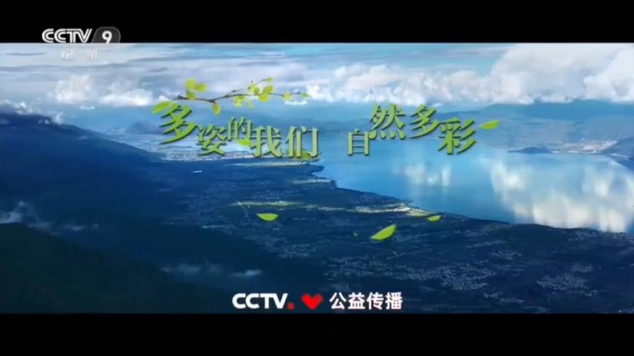 cctv9自然纪录片