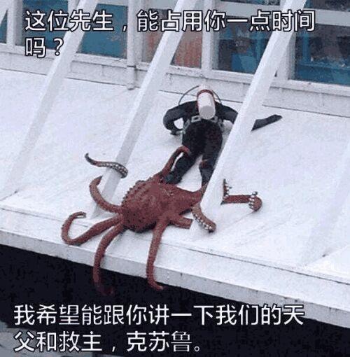 章鱼输入法怎么不出来表情包