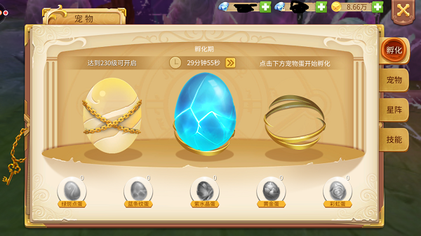 魔女之泉1龙之谷的蛋怎么孵化