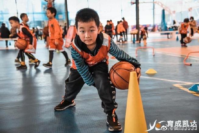 4—17岁青少年篮球训练