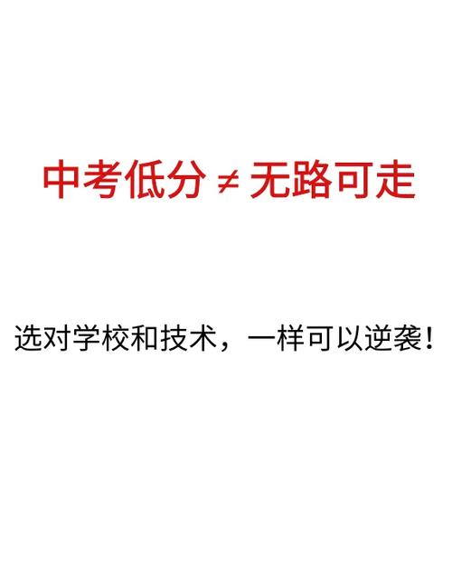中考100分有学上吗