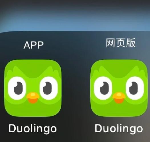 duolingo网页版登录入口