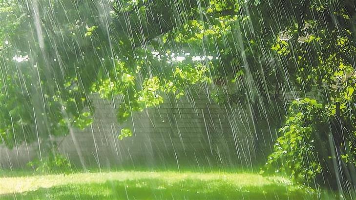 雨的单字雅称