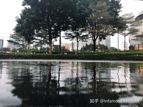 苹果11拍照偏黄怎么调整