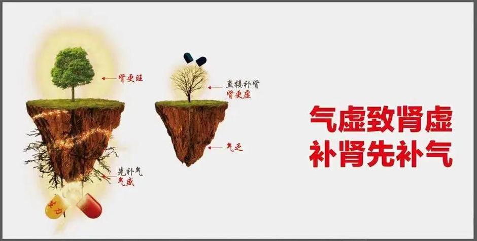 气虚的根源在哪里