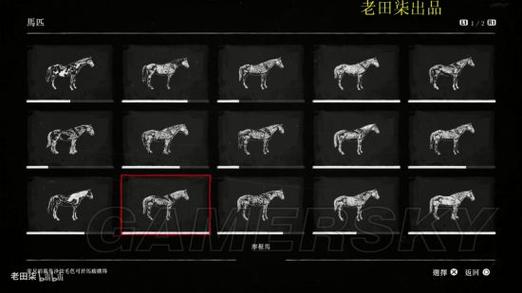 荒野大镖客2马匹选择攻略