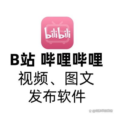 下载哔哩哔哩视频的软件