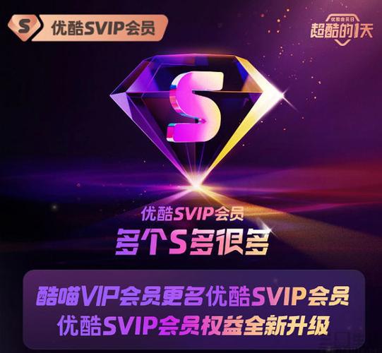 svip会员