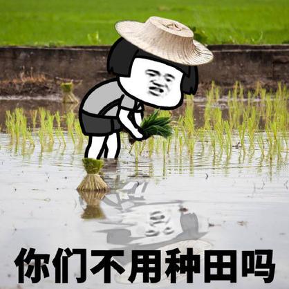 农民表情包