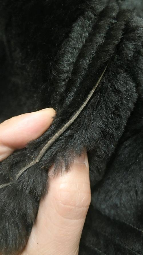 真假皮毛一体鉴别图