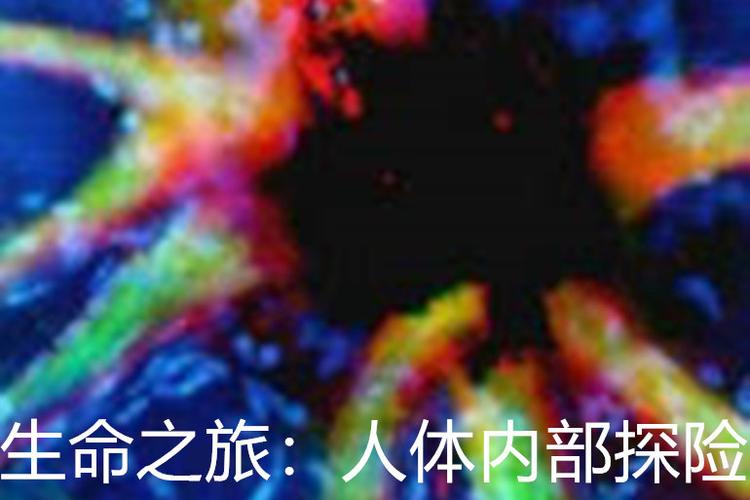 人体上的住客纪录片