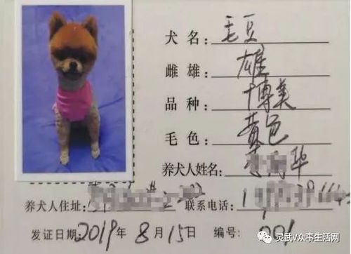 狗狗家园邀请码是多少