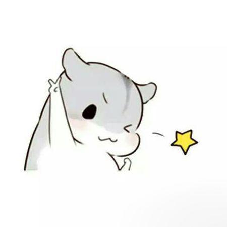 hamham仓鼠表情包
