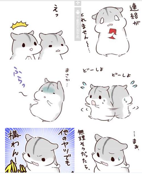 hamham表情包介绍