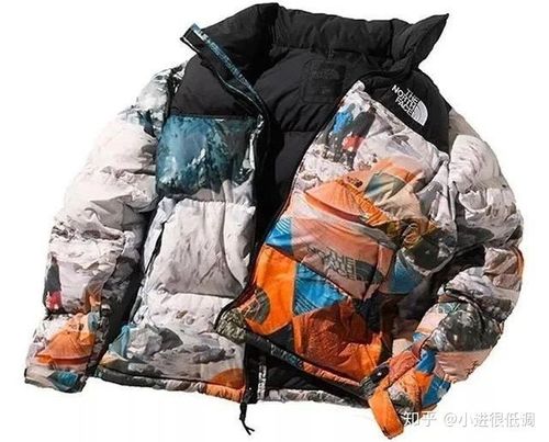 tnf雪山羽绒服真假