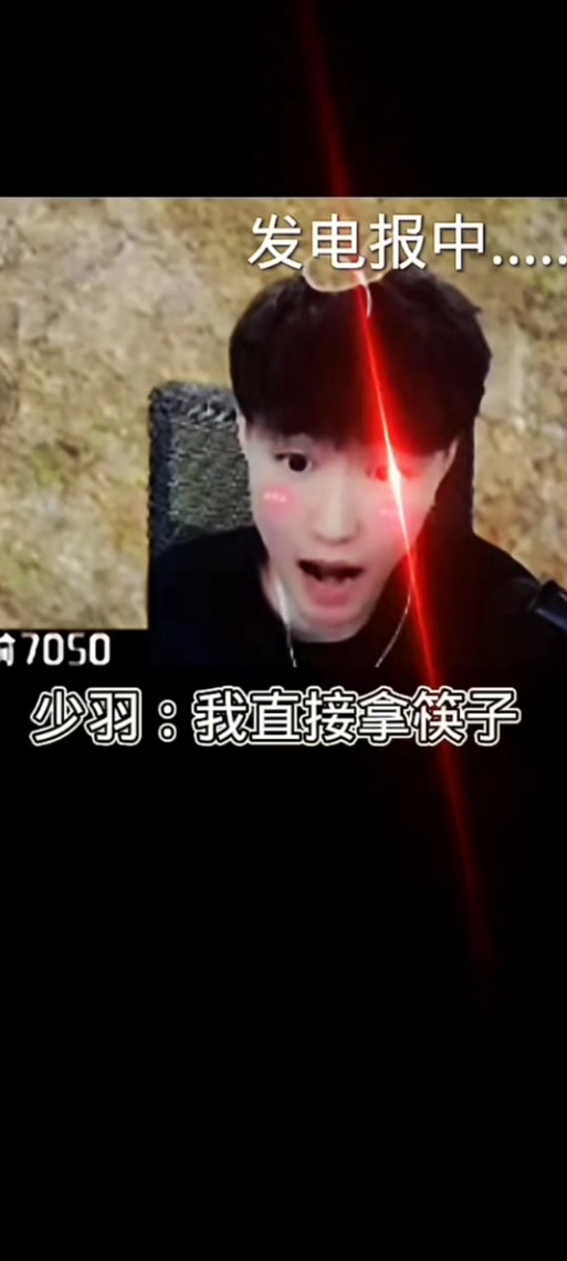 少羽表情包