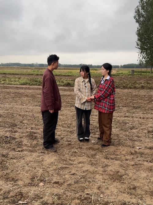 情满乡村李小强免费阅读全文