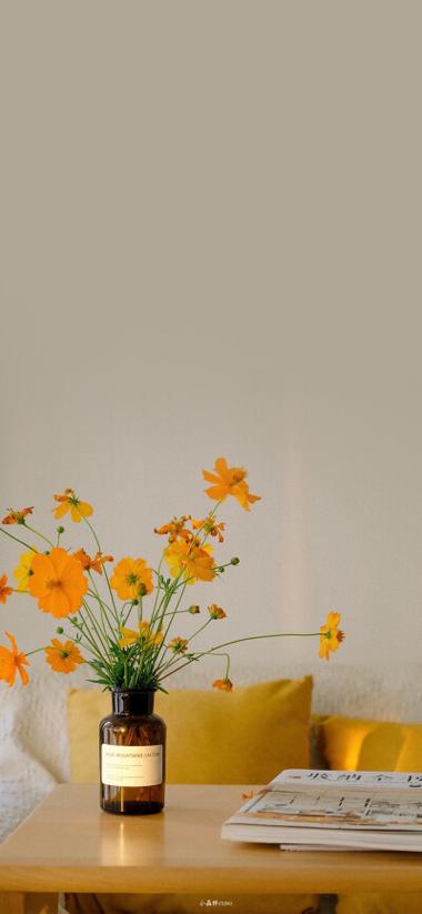 苹果11壁纸高清图片手机