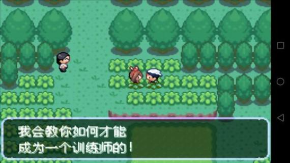 口袋妖怪刽曜之影0.29