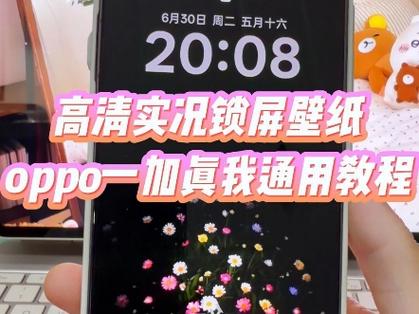 一加6怎么换壁纸