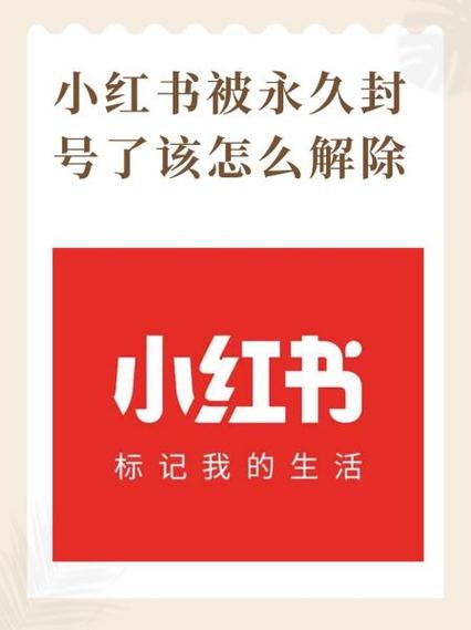 小红书怎么申诉才能成功