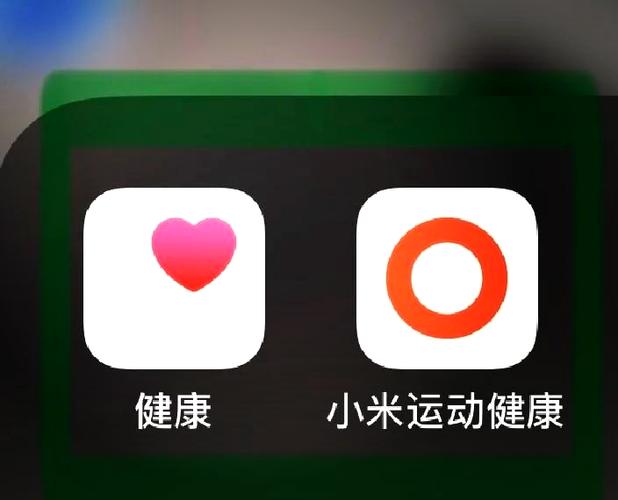 小米健康没有图标