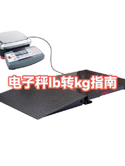 电子秤是公斤还是斤