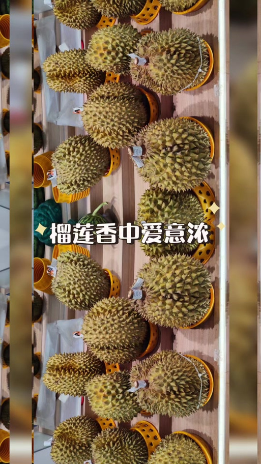 山竹跟榴莲是夫妻果是真的吗