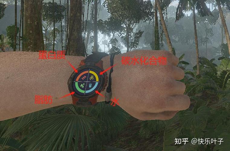 Green Hell游戏玩法