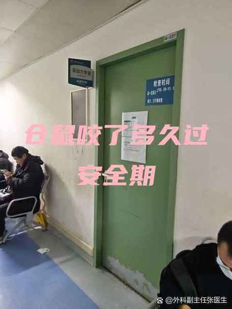 仓鼠咬后多少天后安全了