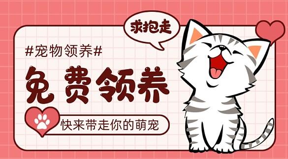 无偿领养猫咪文案