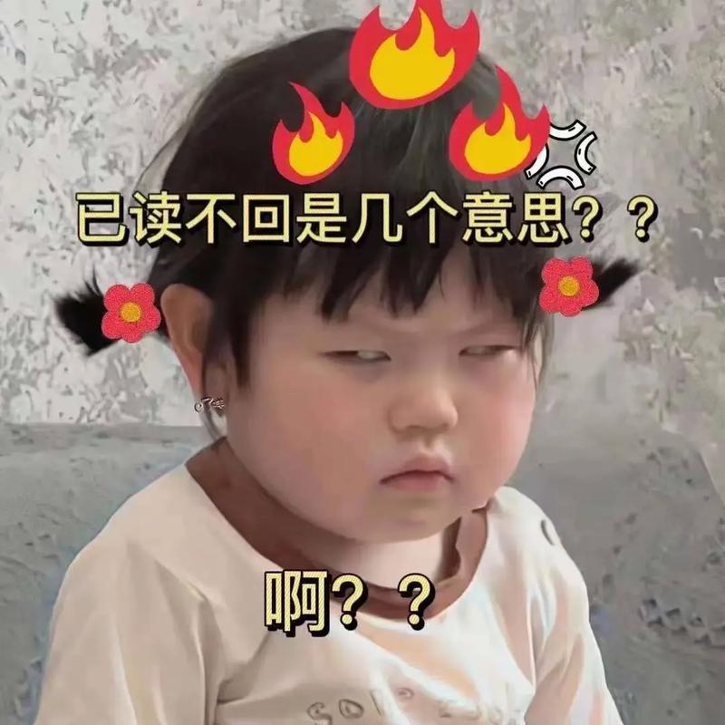 不回信息表情包 搞笑图片
