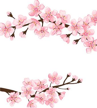 浪漫樱动漫花免费高清版在线观看大