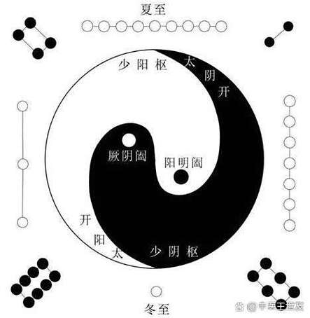刺猬是阳气重还是阴气重