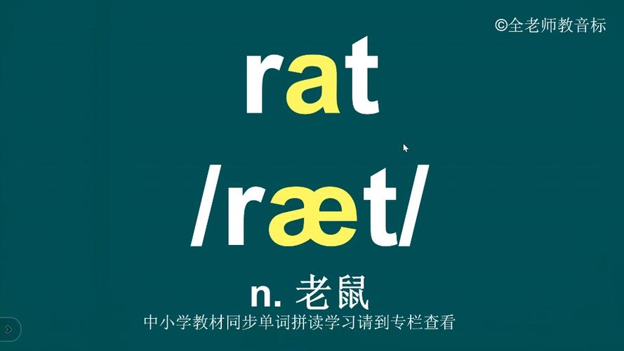 老鼠的英文谐音