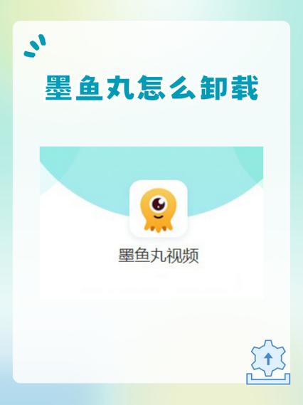 鱼丸空间为什么下载不了