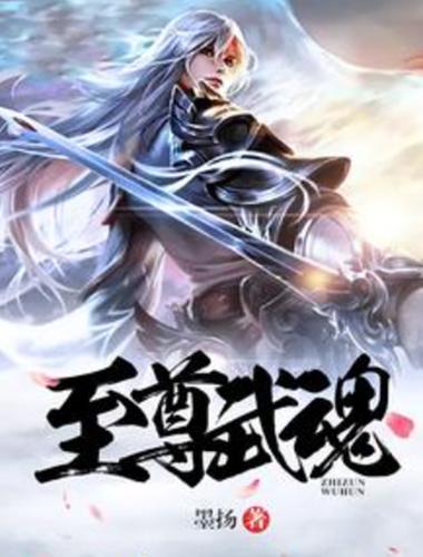 武魂至尊