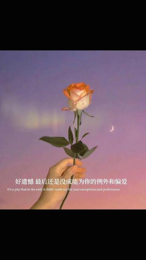 好的感情是日出来的
