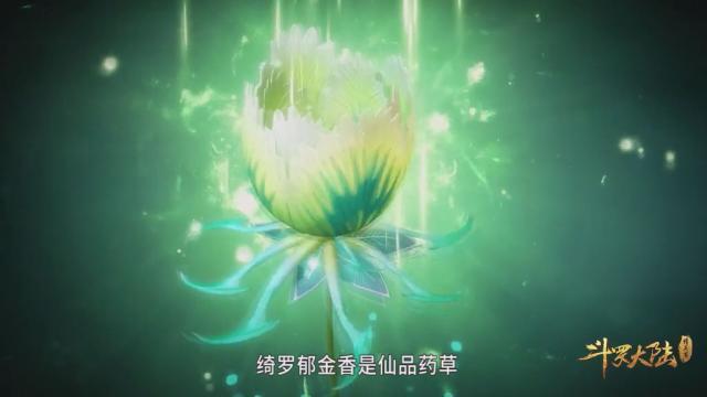 绮罗郁金香的作用