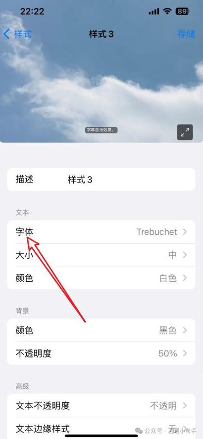 苹果手机字体大小怎么设置