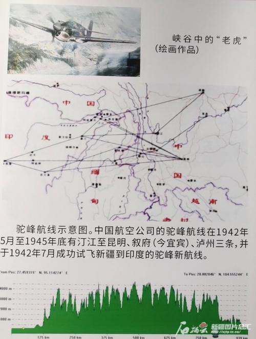 飞虎图纸尺寸图片大全