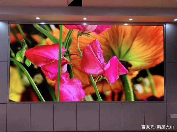 挂在大厅的镜屏是什么