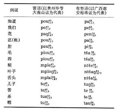 苗语翻译