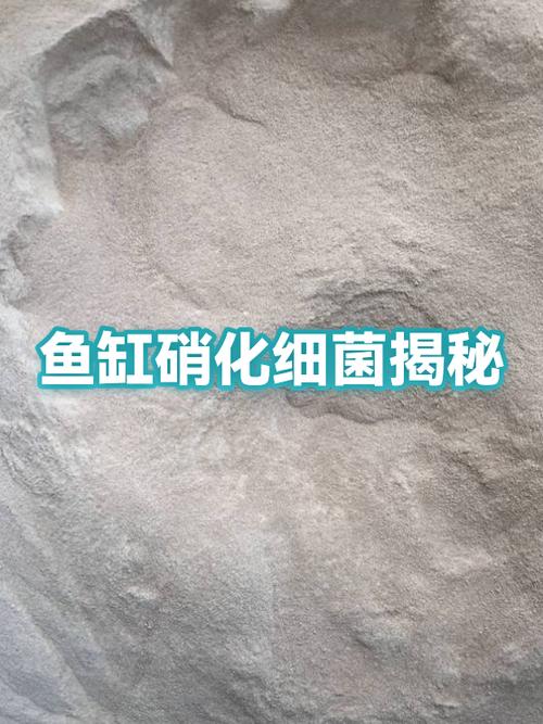 鱼缸硝化细菌多久加一次