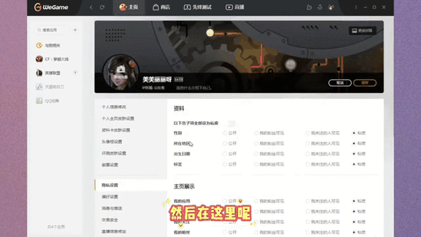 怎么隐藏wegame历史战绩