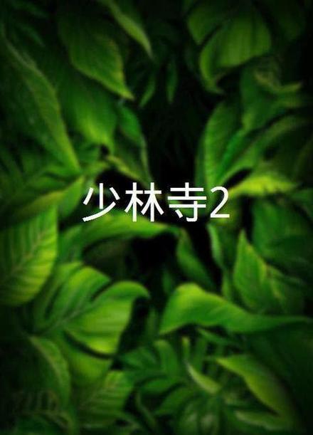 少林寺2