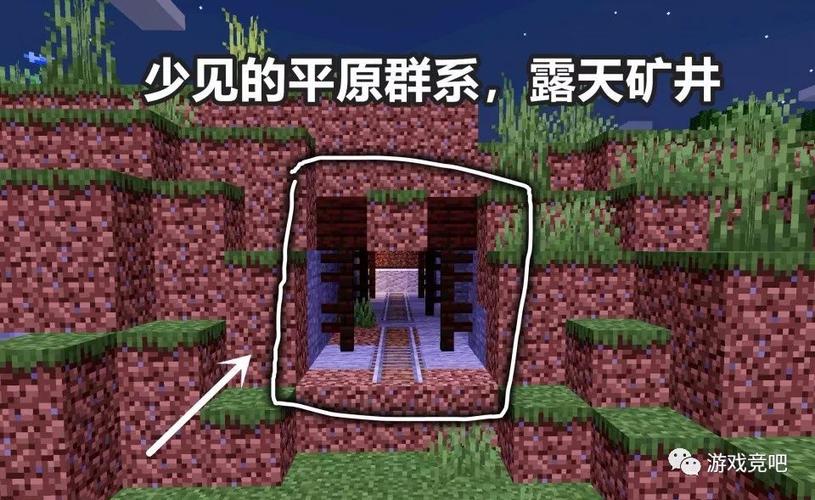 我的世界开局稀有种子