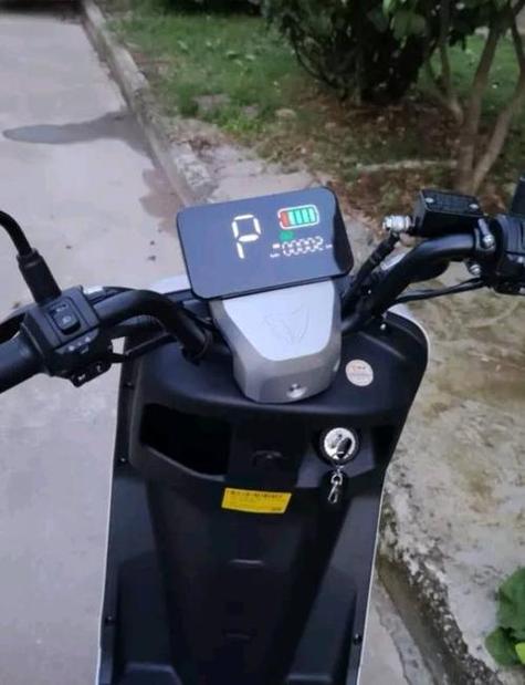 P电动车代表什么
